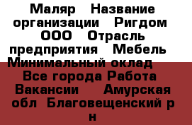 Маляр › Название организации ­ Ригдом, ООО › Отрасль предприятия ­ Мебель › Минимальный оклад ­ 1 - Все города Работа » Вакансии   . Амурская обл.,Благовещенский р-н